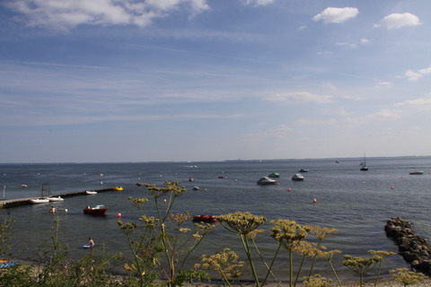 Galerie-Bild von  Hoff