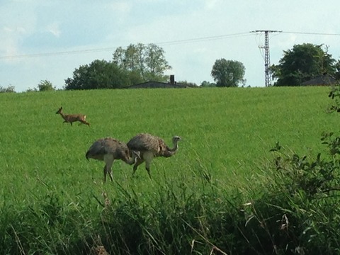 Galerie-Bild von Günter Müller