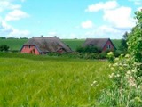 Ferienwohnung in Hohendorf - Poggenkrug - Poggenkrug Haupthaus und Nebenhaus