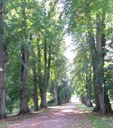 Ferienwohnung in Sassnitz - Haus zur Piratenschlucht - Mittelweg im Nationalpark Jasmund