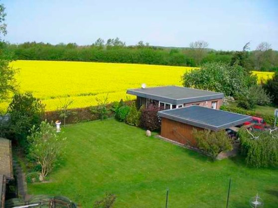 Ferienhaus in Süsel - Ferienhaus  Uhlenhorst - Bild 4