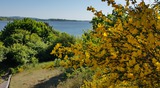 Ferienwohnung in Baabe - Sonnenblick - Fr&uuml;hling in M&ouml;nchgut
