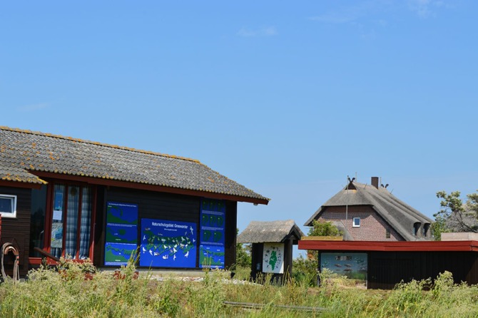 Bungalow in Heringsdorf - Lütt Huus - Bild 22