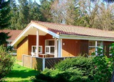 Ferienhaus in Pelzerhaken - Am Waldrand Haus B - Außenansicht mit Terrasse