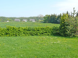 Ferienhaus in Breege - Lindner - ruhige Wohnlage