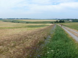 Ferienhaus in Breege - Lindner - herrliche Radtouren zum Kap Arkona