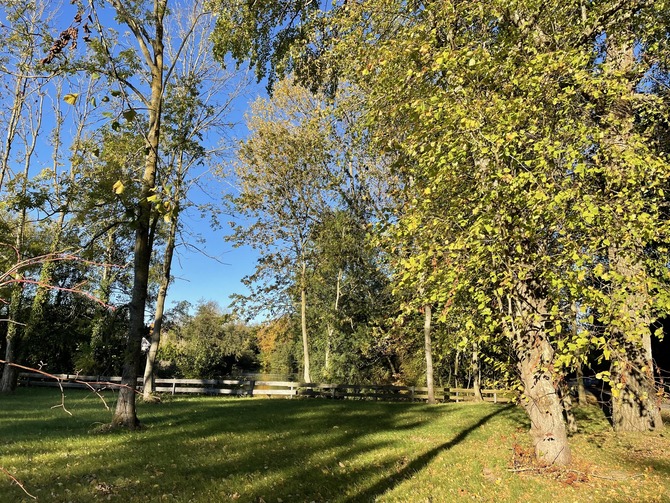 Ferienwohnung in Sch&ouml;nhagen - FerienWohnung Perlentaucher - Blick in Richtung Schlossteich