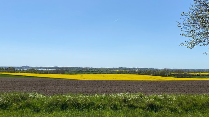 Ferienwohnung in Schönhagen - Prigge - Herrliche Natur, im Hintergrund die Ostsee