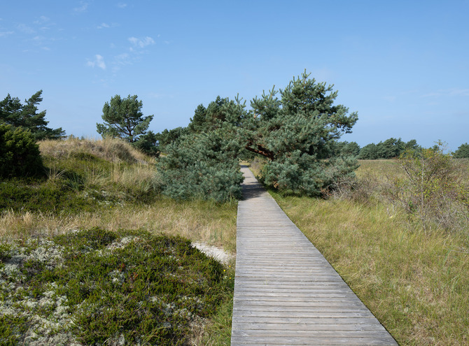 Ferienhaus in Dabitz - Dabitz - Wanderung durch das Naturschutzgebiet