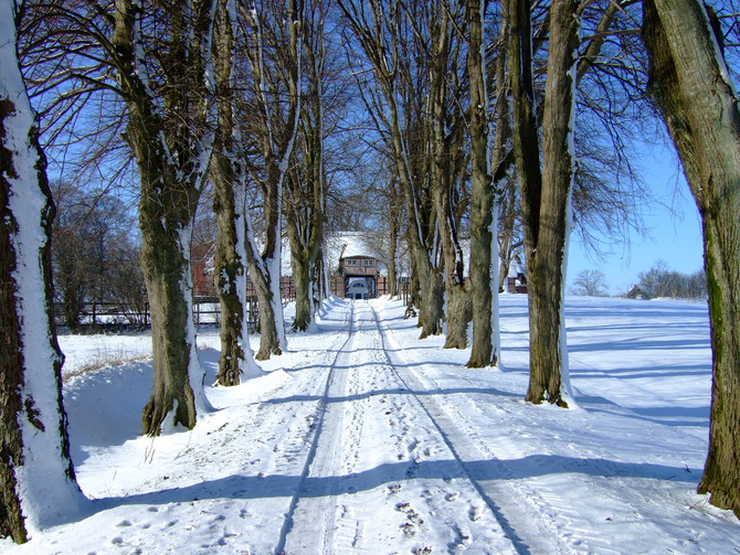 Ferienhaus in Esgrus - Gut Frauenhof  Entenstall - Bild 22