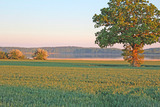 Ferienwohnung in Stöfs - Schwalbennest Ostseeblick - Bild 6