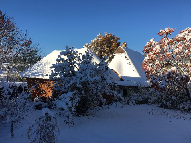 Ferienhaus in Döhnsdorf - Landhaus Unter dem Reetdach - Das Landhaus im Winter