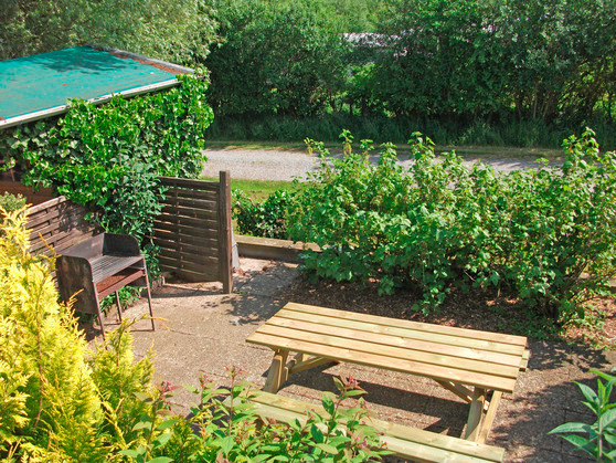 Bungalow in Süssau - Seeblick - Bild 5