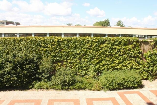 Ferienwohnung in Sch&ouml;nberg - Appartement K112 - Bild 12