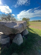 Ferienwohnung in Rerik - Ferienwohnung Meeresblick Rerik - Bild 22