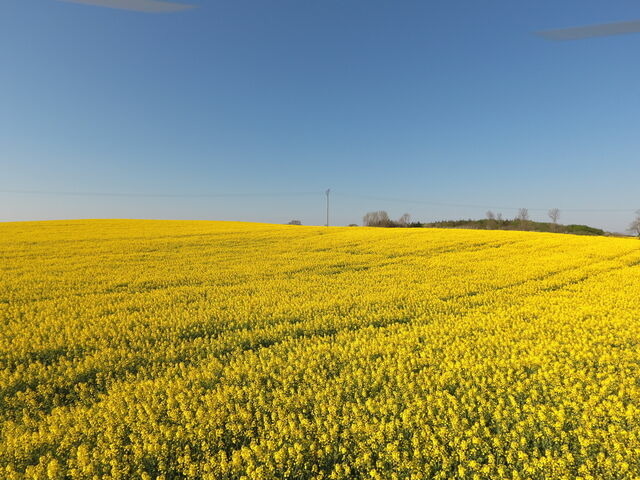 Ferienwohnung in Rabenkirchen-Faul&uuml;ck - Schleiblick App. 6 - Bild 9