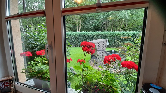 Ferienwohnung in Sellin - Ferienwohnung Schernau - Bild 9