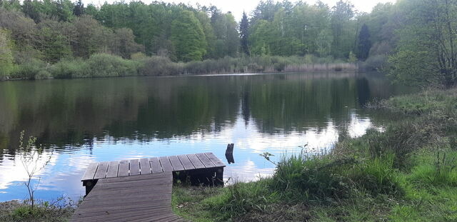 Ferienhaus in Brekendorf - Ferienhaus Diedrichsen - Bild 8