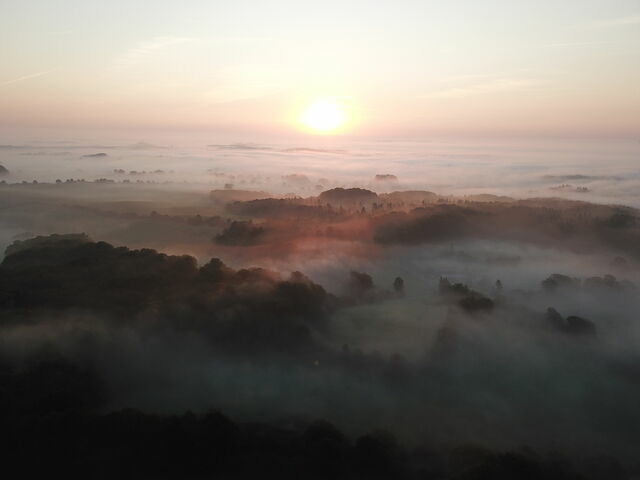 Ferienwohnung in Ascheffel - Wilsterberg FeWo "die Kleine" - Bild 15