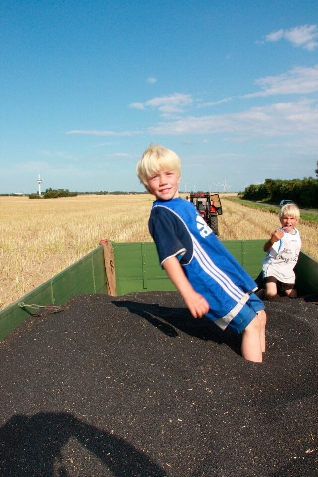 Ferienwohnung in Fehmarn OT Todendorf - Ferienwohnung "Strandkorb" - Bild 9