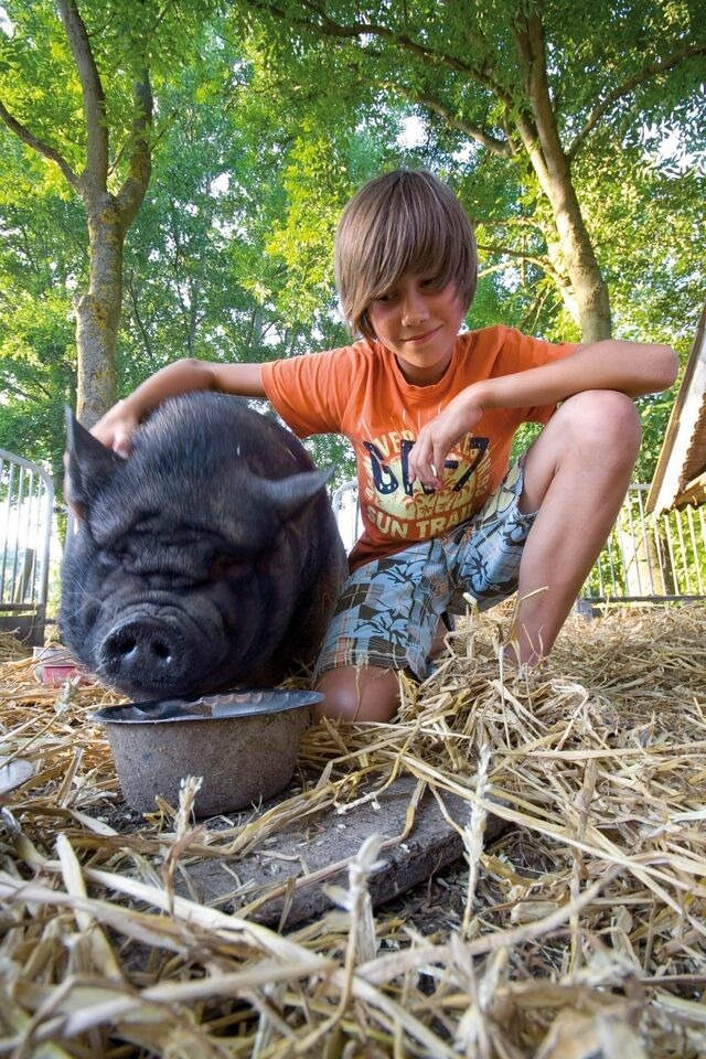 Ferienwohnung in Fehmarn OT Meeschendorf - "Ferienhof Sporleder" - Bauernhaus 2 - Bild 12 Ferienwohnung in Fehmarn OT Meeschendorf - "Ferienhof Sporleder" - Bauernhaus 2 - Bild 12