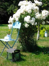 Ferienwohnung in Fehmarn OT Meeschendorf - "Ferienhof Sporleder" - Bauernhaus 2 - Bild 14 Ferienwohnung in Fehmarn OT Meeschendorf - "Ferienhof Sporleder" - Bauernhaus 2 - Bild 14