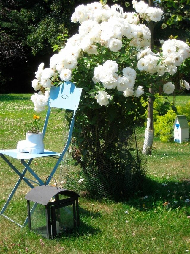 Ferienwohnung in Fehmarn OT Meeschendorf - "Ferienhof Sporleder" - Bauernhaus 2 - Bild 14 Ferienwohnung in Fehmarn OT Meeschendorf - "Ferienhof Sporleder" - Bauernhaus 2 - Bild 14