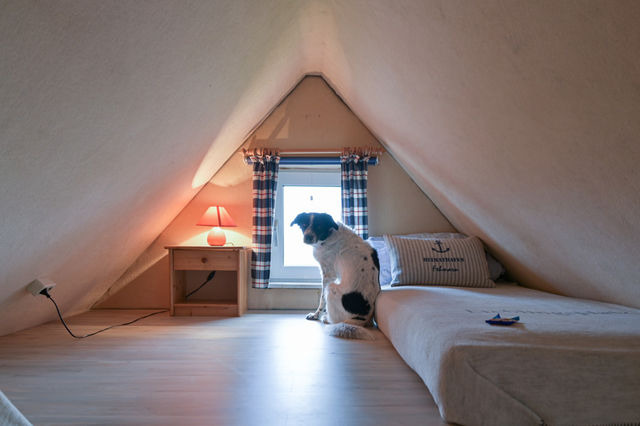 Ferienwohnung in Fehmarn OT Katharinenhof - Ferienhof Augustenh&ouml;he - Bauernhaus Nr.10 - Bild 9