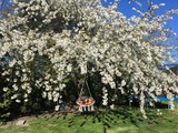 Ferienwohnung in Fehmarn OT Hinrichsdorf - Mohnblume Nr.2 - Bild 15