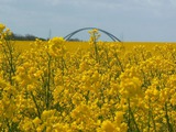 Ferienwohnung in Fehmarn OT Wulfen - Ostseebrise Fehmarn - Bild 25