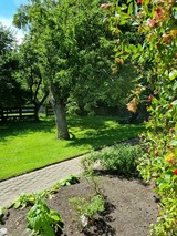 Ferienhaus in Fehmarn OT Bisdorf - Ferienhof Bisdorf "Schwülkennest" Reihenhaus - Bild 2