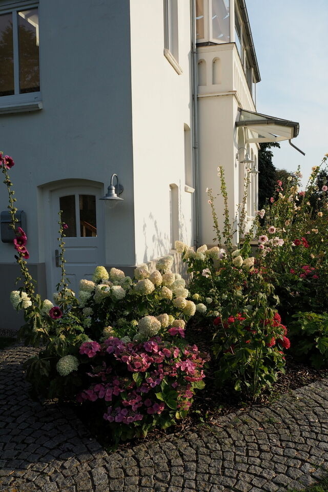 Ferienwohnung in Schönberg - Villa Baltica - Garten-Appartement - Bild 4