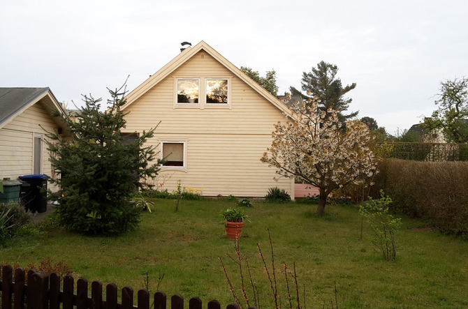 Ferienhaus in Lubmin - Apfeltraum - Bild 11