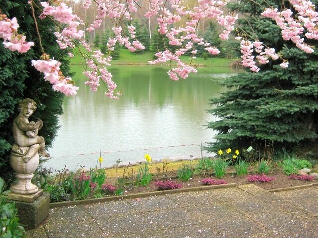 Ferienwohnung in Cismar - Haus am Kojenteich - Whg. 2 - Klosterdorf Cismar - gepflegte Wohnung auf idyllischem Seegrundst&uuml;ck - Bild 17