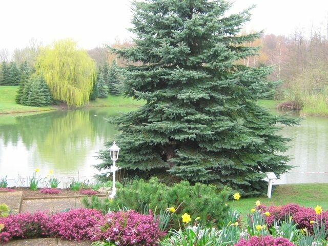 Ferienwohnung in Cismar - Haus am Kojenteich - Whg. 2 - Klosterdorf Cismar - gepflegte Wohnung auf idyllischem Seegrundst&uuml;ck - Bild 20