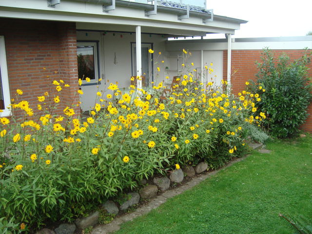 Ferienwohnung in Gr&ouml;mitz - "Haus Kornhof - Whg. 1" - Bild 23