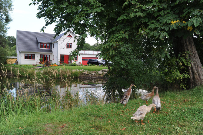 Ferienwohnung in Sildemow - Gutshof 13 - Bild 11