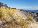 Ferienhaus in Fehmarn OT Burg - Haus Sommerbriese - Bild 21