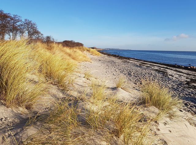 Ferienhaus in Fehmarn OT Burg - Haus Sommerbriese - Bild 21