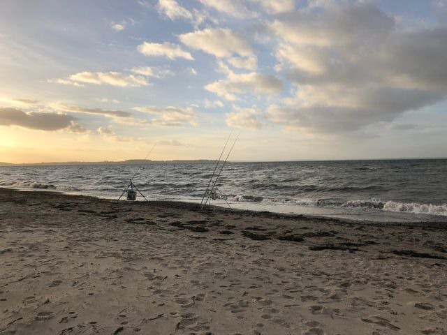 Ferienhaus in Dassow - Strandgut - Bild 24