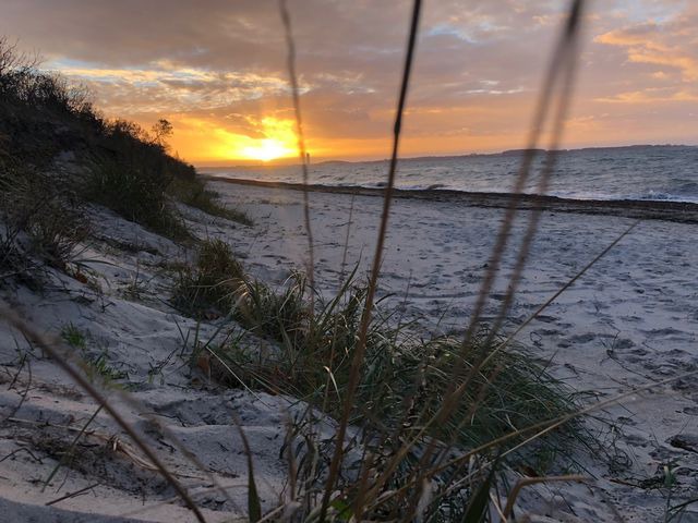 Ferienhaus in Dassow - Strandgut - Bild 25