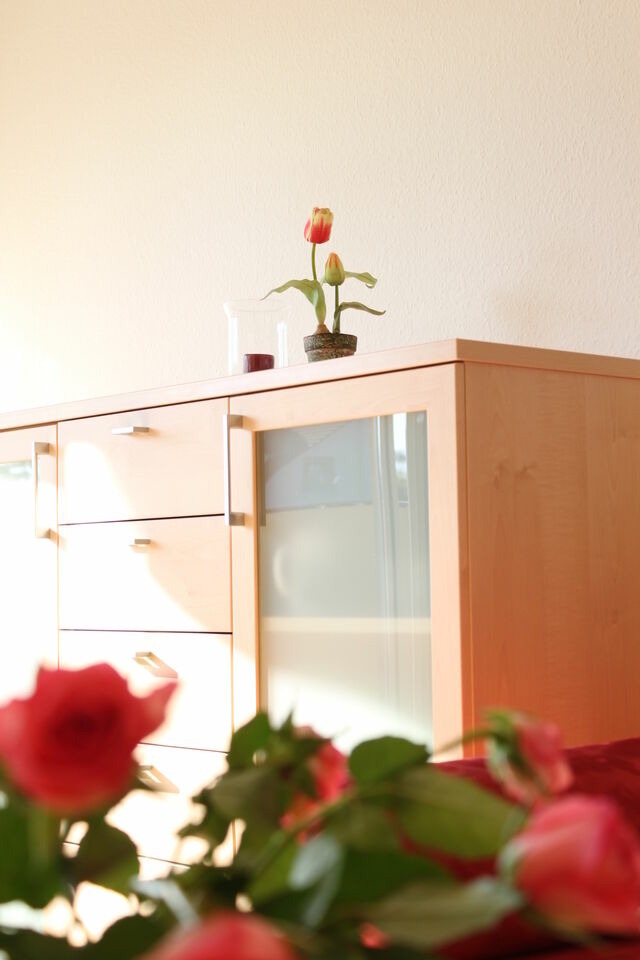 Ferienwohnung in Gr&ouml;mitz - M2 - Apartmenthaus Marienburger Str. 4 - FERIENDOMIZIL HOLLICH - Bild 20