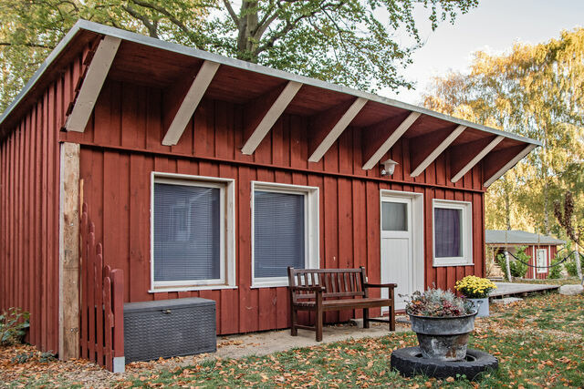 Ferienhaus in Ückeritz - Sturmmöwe - Bild 3