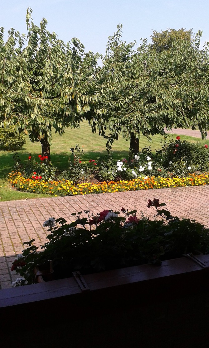 Ferienwohnung in Steinhagen - Henk - Blick von der Terrasse