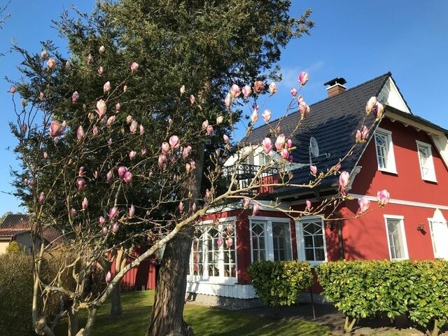 Ferienhaus in Ostseeheilbad Zingst - Dat Ferienhus Sophia - Bild 2