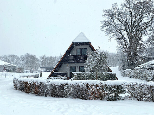 Ferienhaus in Marlow - Finnhäuser am Vogelpark - Haus Andrea - Bild 15