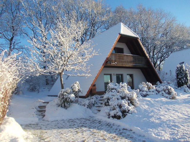 Ferienhaus in Marlow - Finnhäuser am Vogelpark - Haus Annika - Bild 12