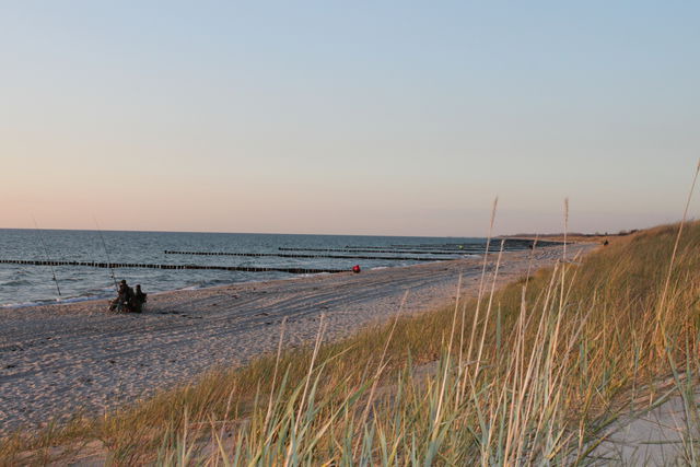 Ferienhaus in Dierhagen - -"Strandhaus Friedrich"- - Bild 17