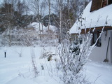 Ferienhaus in Dierhagen - Ferienhaus Kaminsky - Bild 8