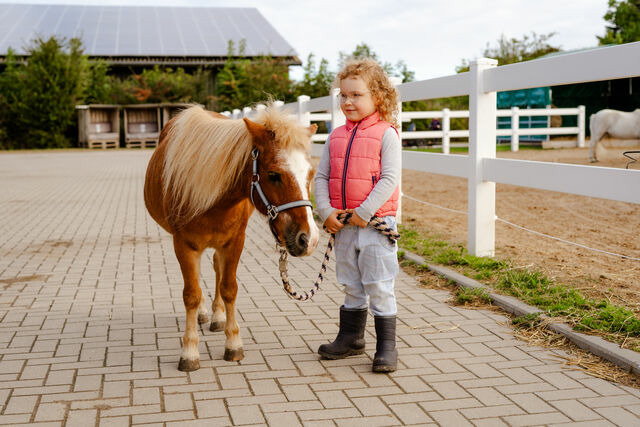 Ferienhaus in Fehmarn OT Staberdorf - Alte Schule 6 - Bild 22
